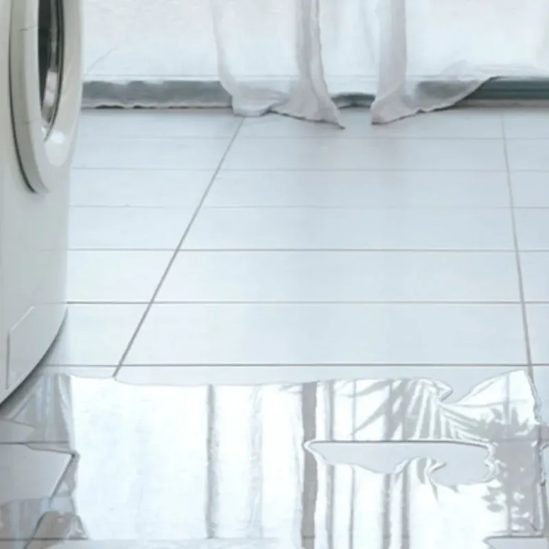 Appliance Leak Cleanup in Marshall, IL