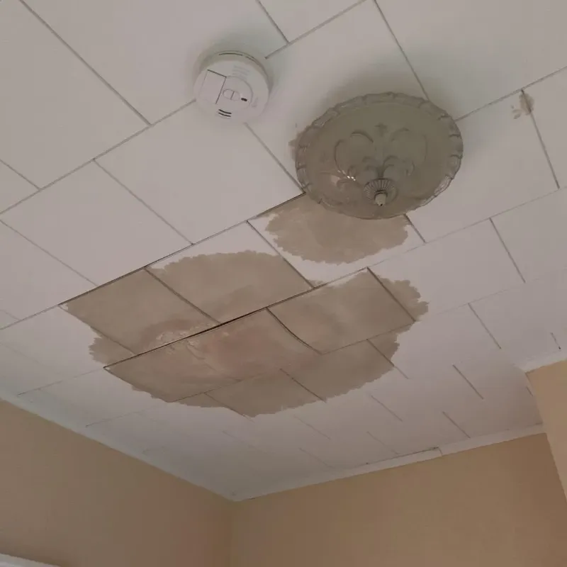 Ceiling Water Damage Repair in Marshall, IL