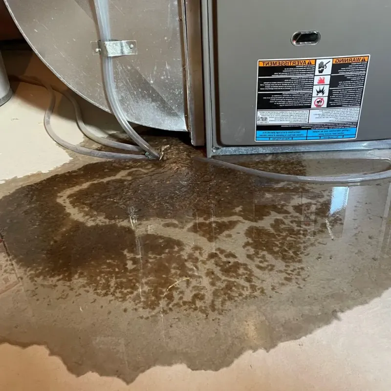 Pipe Burst and Leak Restoration in Marshall, IL