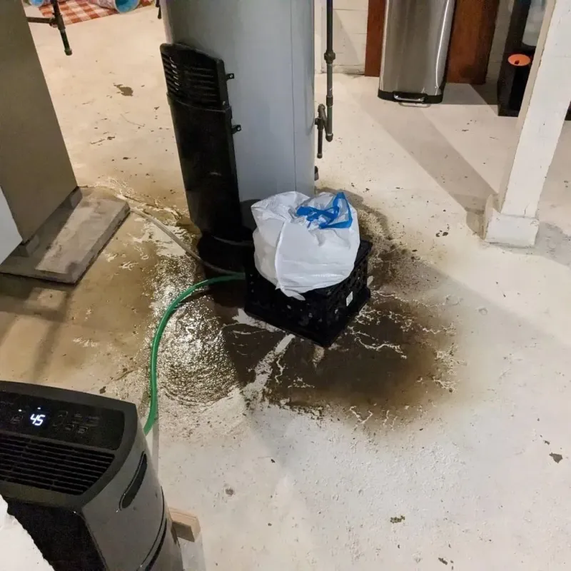 Sewage Backup Cleanup Service in Marshall, IL